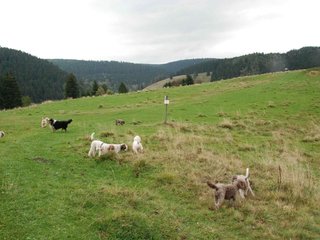 2009-10-03_ntb_9617