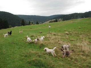 2009-10-03_ntb_9618