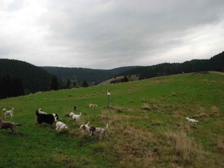 2009-10-03_ntb_9619