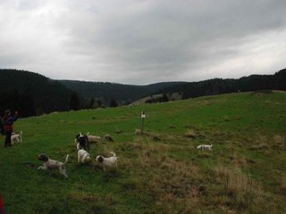 2009-10-03_ntb_9620