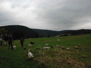 2009-10-03_ntb_9621