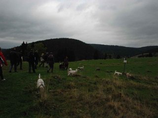 2009-10-03_ntb_9622