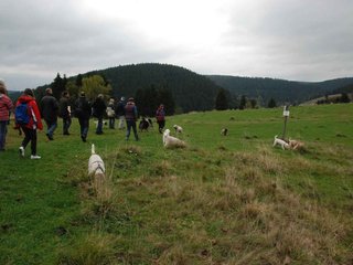 2009-10-03_ntb_9623