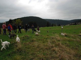 2009-10-03_ntb_9624