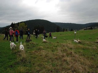 2009-10-03_ntb_9625