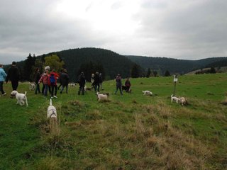 2009-10-03_ntb_9626