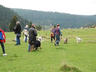 2009-10-03_ntb_9629