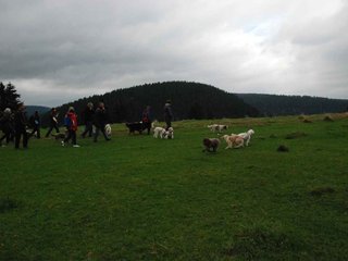 2009-10-03_ntb_9631