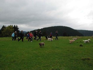 2009-10-03_ntb_9632