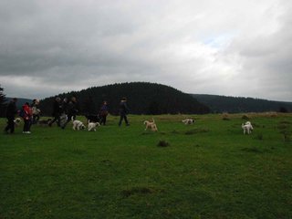 2009-10-03_ntb_9633