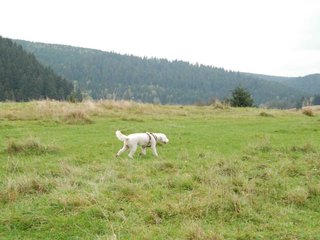 2009-10-03_ntb_9634