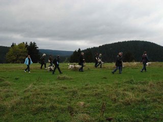 2009-10-03_ntb_9635