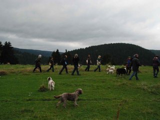 2009-10-03_ntb_9636
