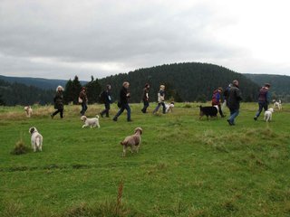 2009-10-03_ntb_9637
