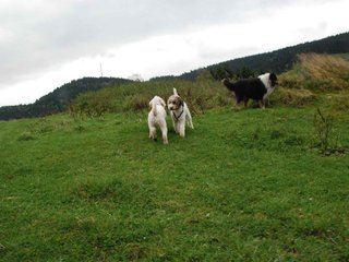 2009-10-03_ntb_9638