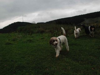 2009-10-03_ntb_9639