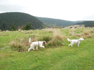 2009-10-03_ntb_9641