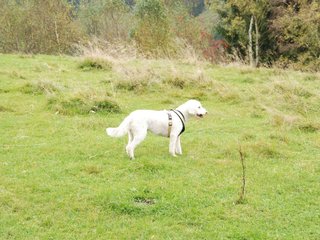 2009-10-03_ntb_9643