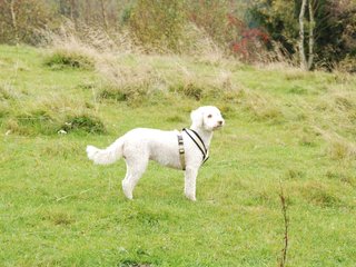 2009-10-03_ntb_9644
