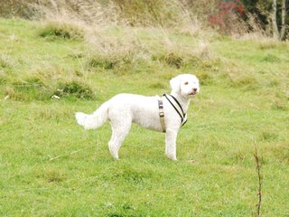 2009-10-03_ntb_9645