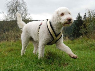 2009-10-03_ntb_9647