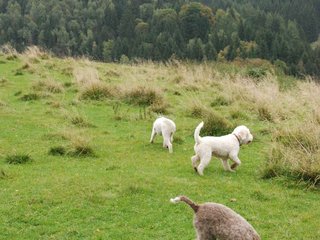 2009-10-03_ntb_9648