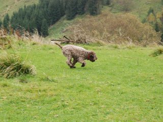 2009-10-03_ntb_9650