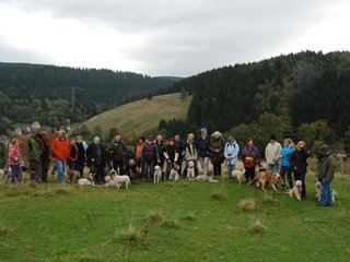 2009-10-03_ntb_9659