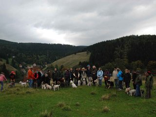 2009-10-03_ntb_9666