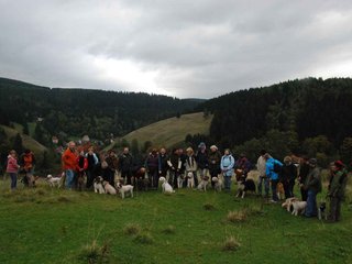 2009-10-03_ntb_9667