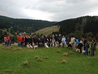 2009-10-03_ntb_9668