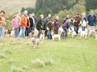 2009-10-03_ntb_9680