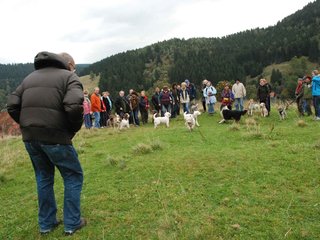 2009-10-03_ntb_9681