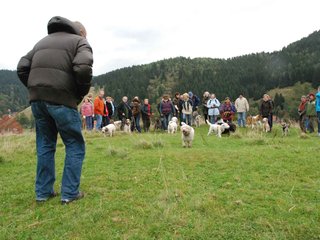 2009-10-03_ntb_9682