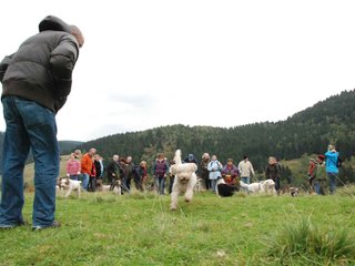 2009-10-03_ntb_9683