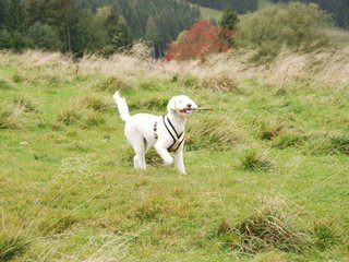 2009-10-03_ntb_9685