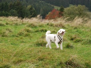 2009-10-03_ntb_9686