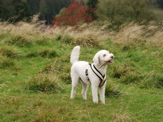 2009-10-03_ntb_9687