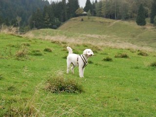 2009-10-03_ntb_9688