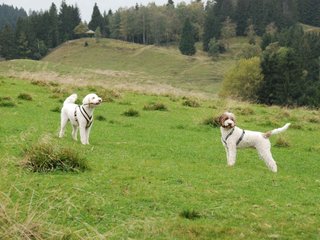 2009-10-03_ntb_9689