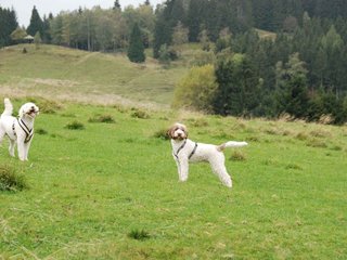 2009-10-03_ntb_9690
