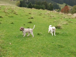 2009-10-03_ntb_9691