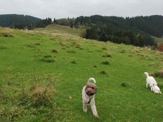 2009-10-03_ntb_9692