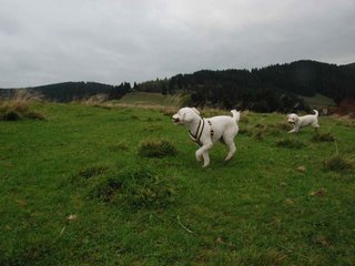 2009-10-03_ntb_9694