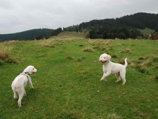 2009-10-03_ntb_9695