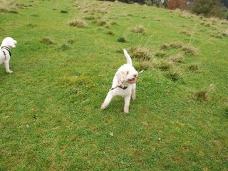 2009-10-03_ntb_9696