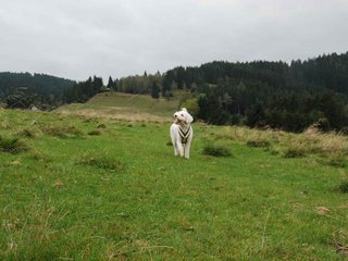 2009-10-03_ntb_9697