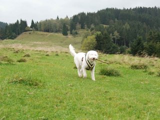 2009-10-03_ntb_9698