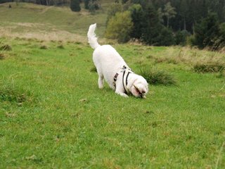 2009-10-03_ntb_9699