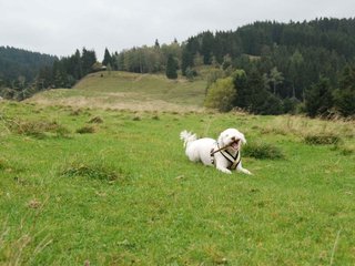 2009-10-03_ntb_9700
